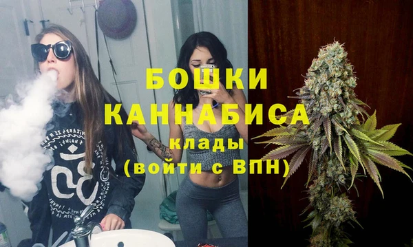 сатива Абдулино