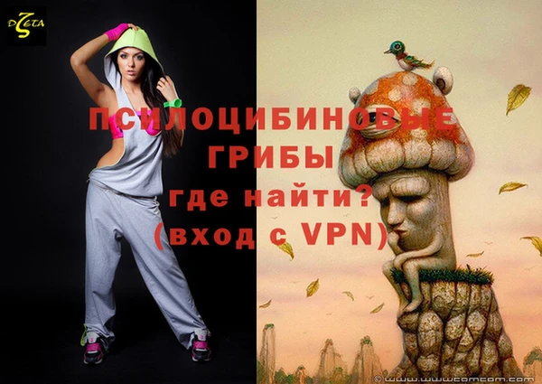 стафф Абаза