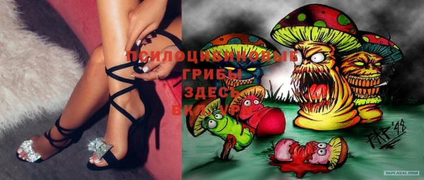 дурь Абинск