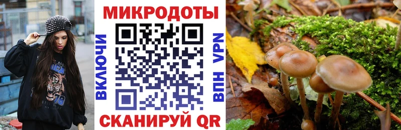 Галлюциногенные грибы Psilocybine cubensis  kraken ТОР  Ярославль 
